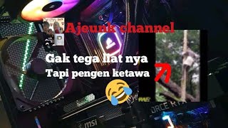 Video lucu tapi kasian kakek kakek nebang pohon pepaya eh malah ikut jatuh