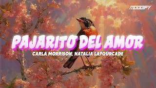 Carla Morrison, Natalia Laforucade - Pajarito del Amor (Letra)