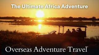 From Chobe to the Okavango: Botswana's Ultimate Safari Experience | Overseas Adventure Travel