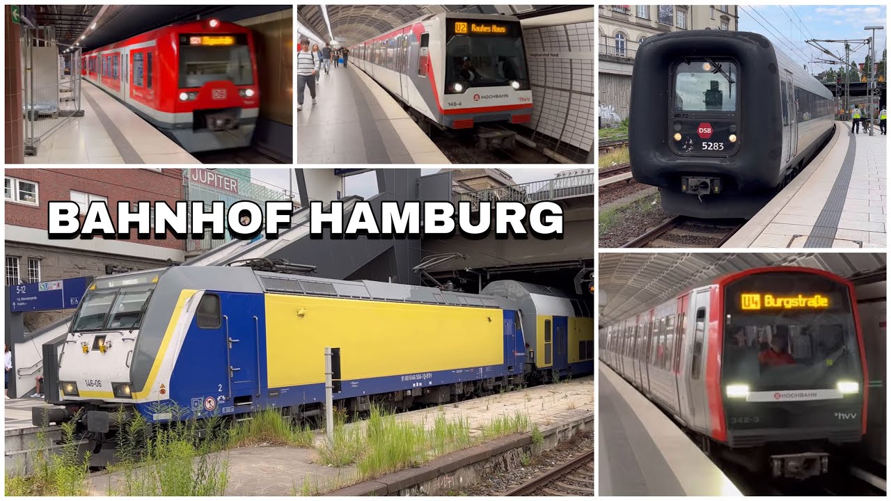Züge beim Hamburg Hauptbahnhof | Trains at Hamburg Central Station (2023)