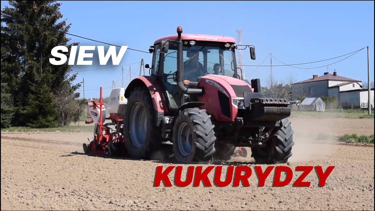 ✔★Siew Kukurydzy!✔2021★Na Podkarpaciu✔|Zetor|Ozdoken|✔95manek★
