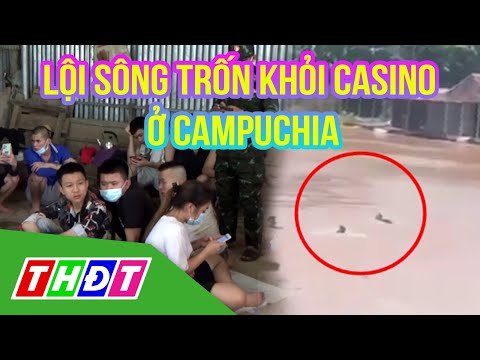 Hàng chục người cùng lội sông trốn khỏi casino ở Campuchia | THDT