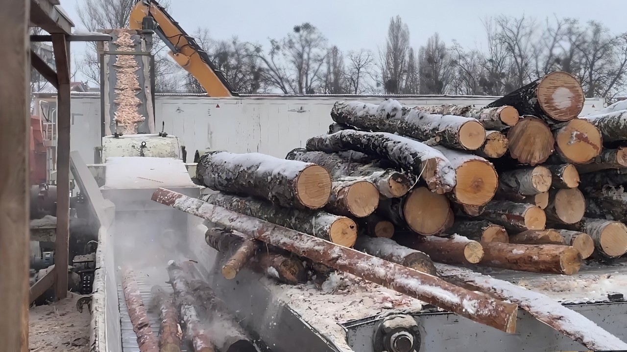 ARCTIC COLD — −30C Freezes Wood Chips.