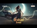 Habibi Nights | Chill Arabic Lounge &amp; Deep Beats