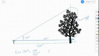 155-6c Tree Application of Right Triangle Trig