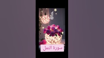 سورة النمل#quran #دعاء #دويتو #تيك_توك #صباحالخير #duet #دعاءمستجاب #حالاتواتس #لايك #راحة_نفسية