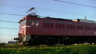 EF81 134 ばんえつ物語輸送用　単8423ﾚ