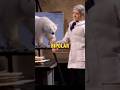 You Will NOT See This Coming - Robot Chicken Short Edit
