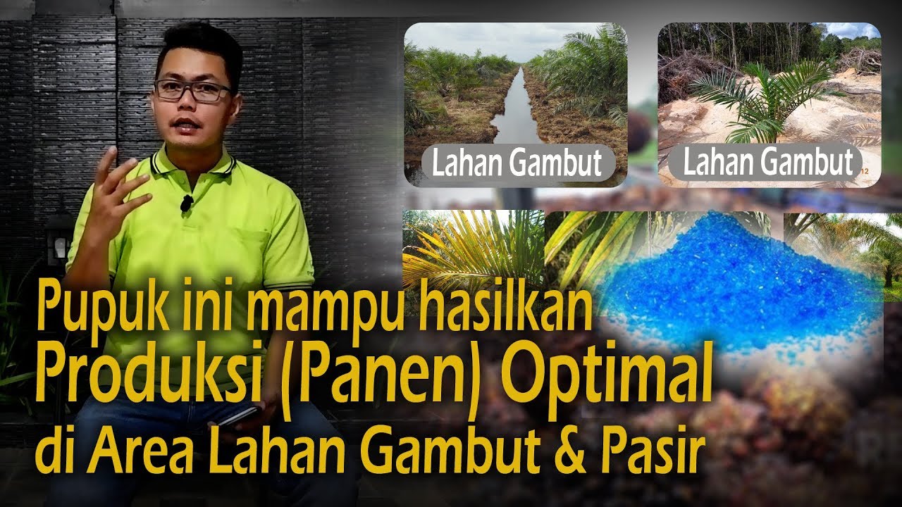 Manfaat besar Kegunaan pupuk CU