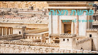 שיעור שבועי פרשת תצוה עם צמח טרעגער #מקרא #תורה #פרשתהשבוע