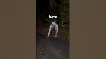 "Rake" infestation smh😒