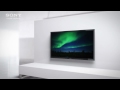 Technologie Sony, DYNAMIC EDGE LED avec FRAME DIMMING