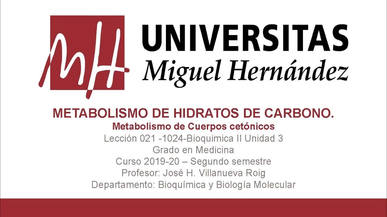Lecc021 Metabolismo de cuerpos cetónicos (Umh1024 2019-20)