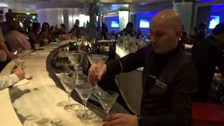 Celebrity Equinox - Ice Bar