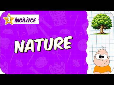 Nature 🟪 3. Sınıf İngilizce #2026