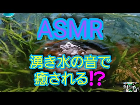 【ASMR】癒しの湧き水の音　自然音　リラックス効果あり？ビオトープ