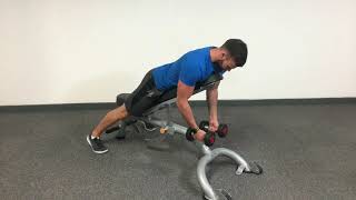 Pg- Bench Revers Flys