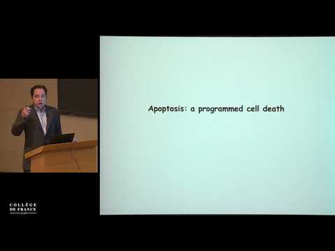 Auto-immunité, auto-inflammation, quand le système immunitaire... (2) - Alain Fischer (2015-2016)