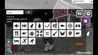САМЫЙ ОПАСНЫЙ МИФ В КОШКА СИМУЛЯТОР! screenshot 4