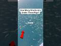 How many sharks live there? #offshore #oilandgas