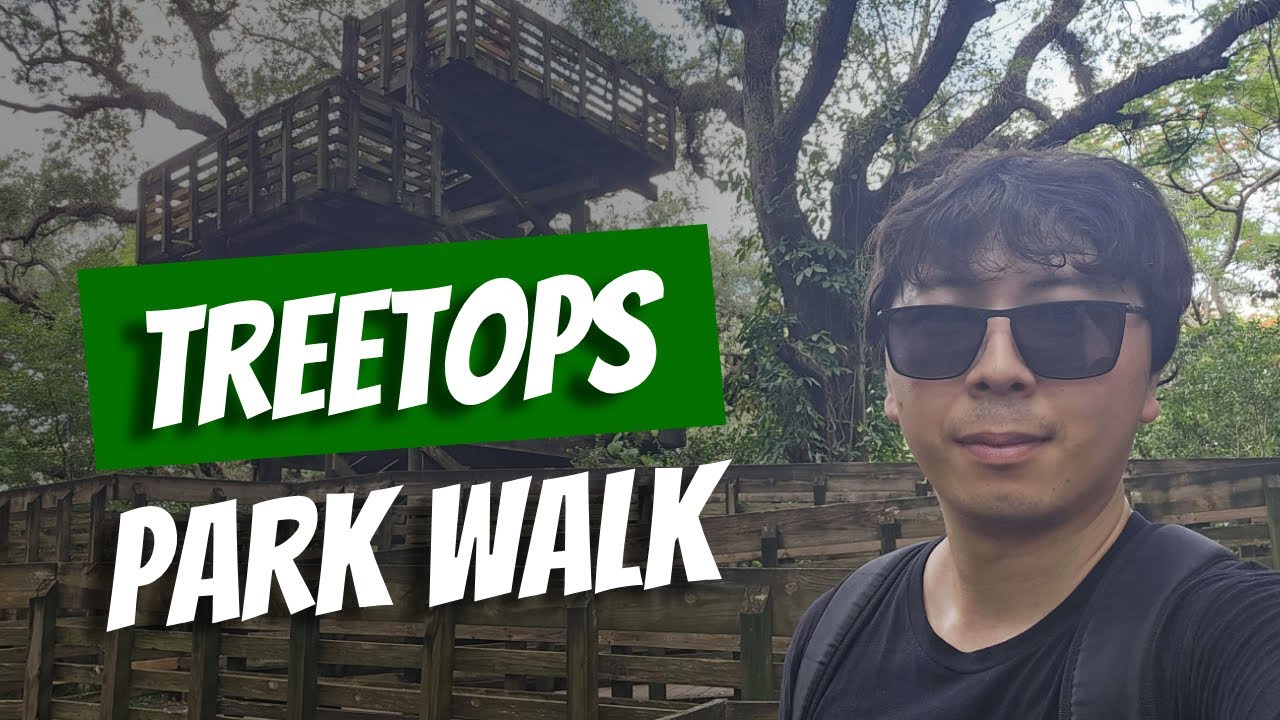 Exploring the Treetops Park in Miami! 🌳🚶🪵