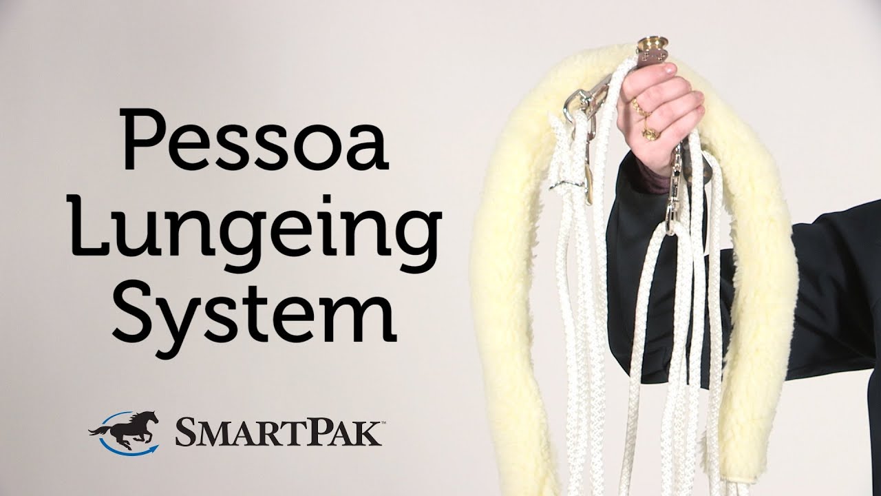 Pessoa Lungeing System Review YouTube