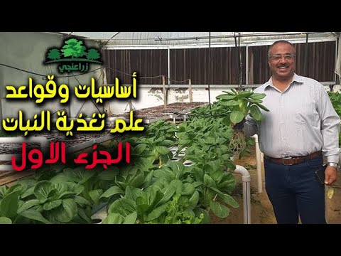 فيديو: تغذية النبات