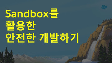 #40 세일즈포스 개발 방법론 - 샌드박스에서 안전하게 개발하기