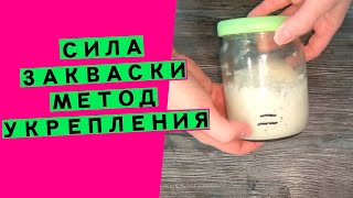 СИЛА 💪🥇ЗАКВАСКИ: как увеличить и укрепить? (РАЗВИВАЕМ ПОДЪЕМНУЮ СПОСОБНОСТЬ ОСЛАБЕВШЕЙ ЗАКВАСКИ)