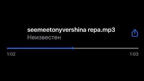 SEEMEE & TonySouljah -  vershina repa (snippet 30.08.22)