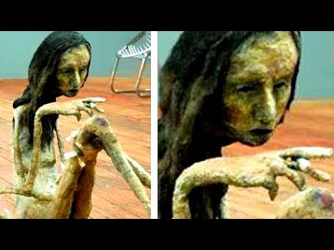 поисковые собачьи команды поисковые собачьи команды