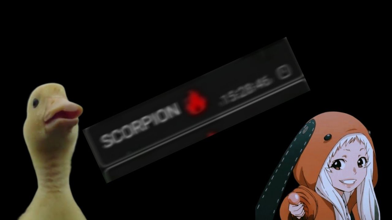 nuovo whatsapp immune primario//new whatsapp immune first