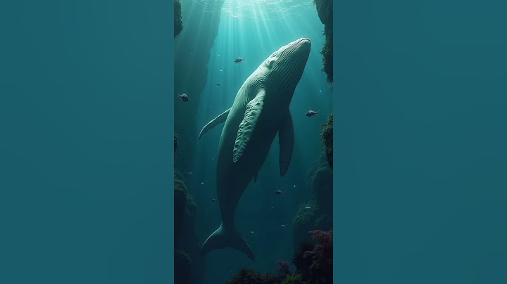 Why Whale do commit Suicide? তিমির মৃত্যুর পর বিস্ময়কর ঘটনা