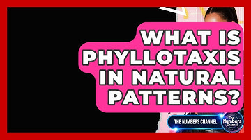 What Is Phyllotaxis In Natural Patterns? - The Numbers Channel