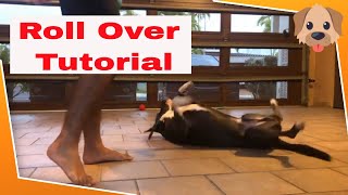 Clicker Tricks Roll Over