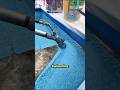Unexpected Pool Makeover! #Shorts
