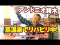 アントニオ猪木 青森でリハビリ中!|アントニオ猪木「最後の闘魂」チャンネル