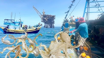 NGÀY 6 # NGƯ DÂN PHƯỚC HẢI BỦA GIÃ ĐÔI CÀO LẾCH TẠI VÙNG BIỂN CÓ NHIỀU HẢI SẢN