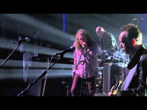 Robert Plant—Turn It