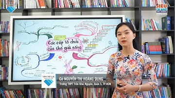 5 Phút Thuộc Bài | Lớp 10 | Sinh Học |  Bài 1 | Các Cấp tổ chức của thế giới sống