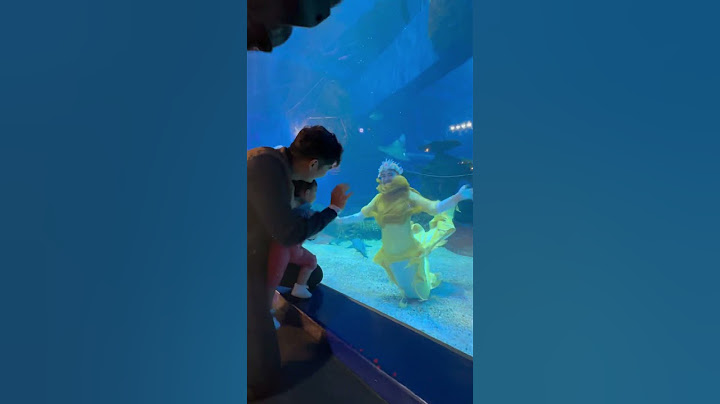 Mermaid Cium Anaknya Dari Dalam Aquarium💕