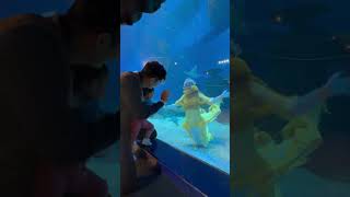 Mermaid Cium Anaknya Dari Dalam Aquarium