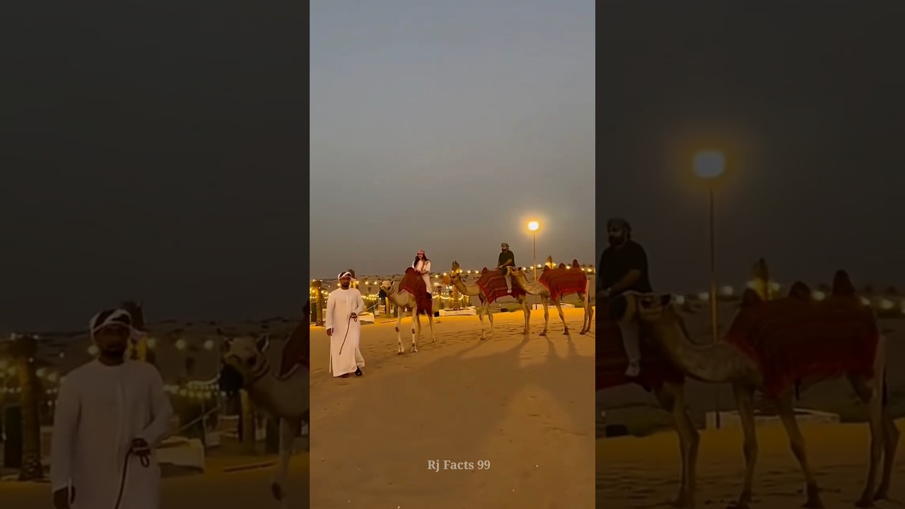 Why Dubai Sheikhs Can’t Live a Day Without Camel Meat 🐪 | 