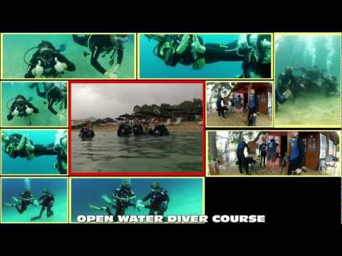 Diving Sithonia Xalkidiki
