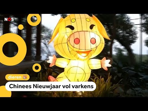 Video: Jaar Van Het Varken 2019. Nieuwjaarstafel