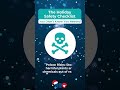 Holiday Injury Prevention Tips From Memorial Healthcare System