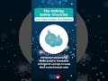 Holiday Injury Prevention Tips From Memorial Healthcare System