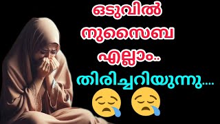 ഒടുവിൽ എല്ലാ സത്യങ്ങളും നുസൈബ തിരിച്ചറിയുന്നു😥അവളെ ത്വലാഖ് ചൊല്ലിയ കാര്യം 😳#nusaiba