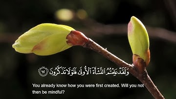 من سورة الواقعه - مذكر السويفان