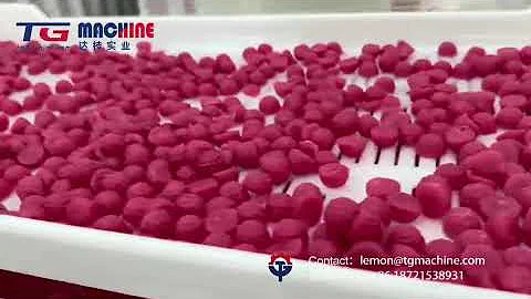 GD600Q Fully Automatic Gummy Candy Production Line Gummy Depositing Machine!